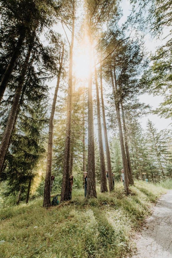 Der Loeffler Am Semmering Bed&Breakfast Dış mekan fotoğraf