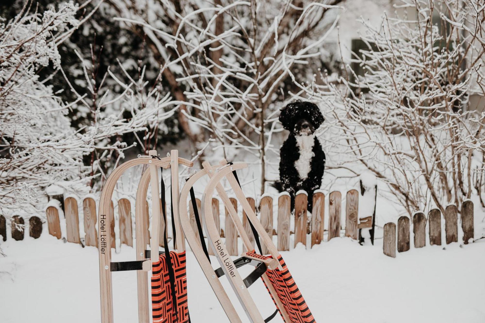 Der Loeffler Am Semmering Bed&Breakfast Dış mekan fotoğraf