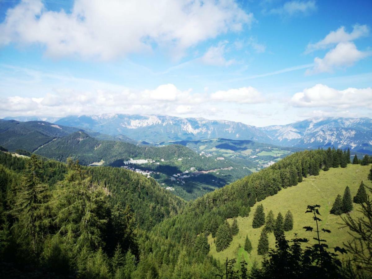 Der Loeffler Am Semmering Bed&Breakfast Dış mekan fotoğraf